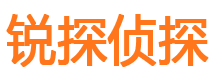 清河市私家侦探